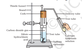 Screenshot 2026 02 19 103937.png