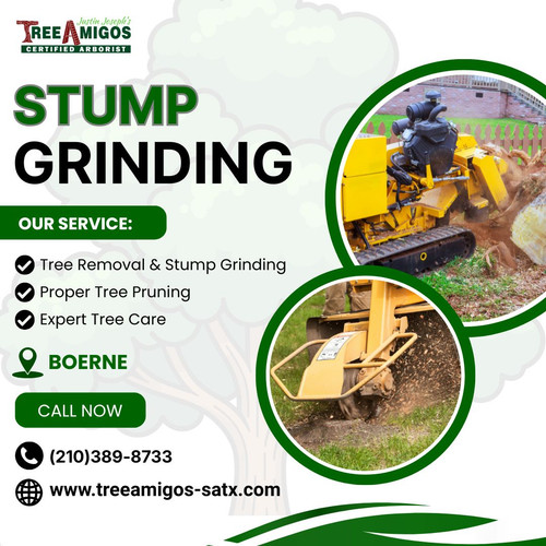Stump Grinding In Boerne.jpg