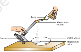 Screenshot 2026 02 19 091008.png