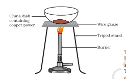 Screenshot 2026 02 19 093018.png