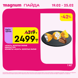Magnum 1728x1728 1 tov (83)