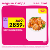 Magnum 1728x1728 1 tov 2026 02 18T114422.237