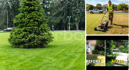 Garden maintenance Matraville.jpg