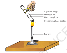 Screenshot 2026 02 19 111928.png