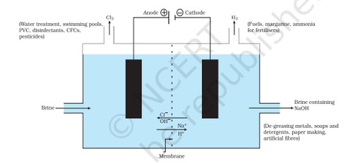 Screenshot 2026 02 19 111727.png