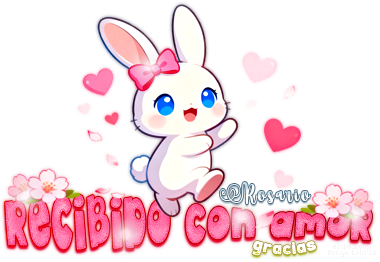 RecAmBnnSVltn AI DG Lolis Rosario.png