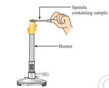 Screenshot 2026 02 19 120628.png