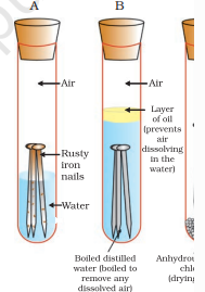 Screenshot 2026 02 19 122002.png