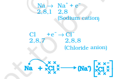 Screenshot 2026 02 19 120925.png