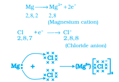 Screenshot 2026 02 19 121031.png