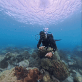 StayWithBuddy.gif
