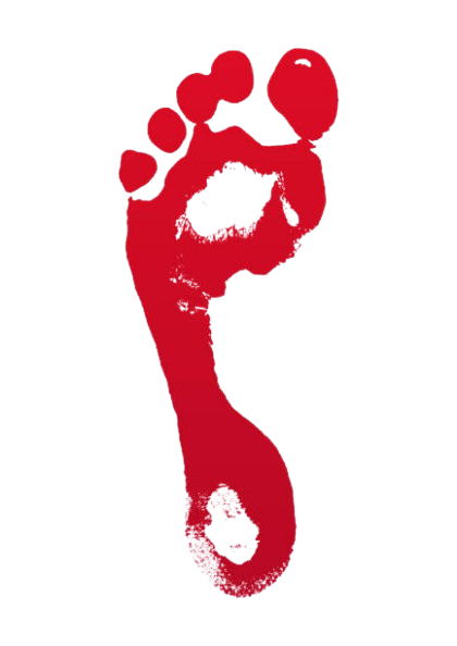 footstepbasic removebg preview.png