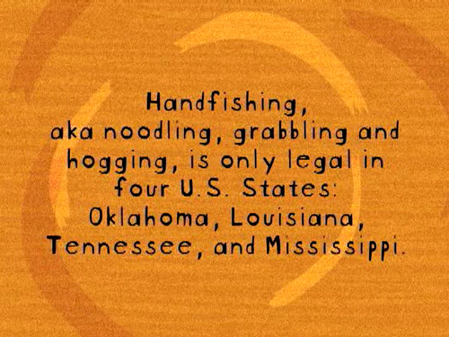 vlcsnap 2026 02 18 11h26m53s096.png