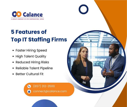 5 Features of Top IT Staffing Firms.jpg