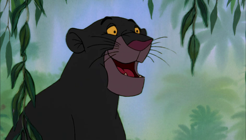 vlcsnap 2026 02 17 14h50m32s870.png