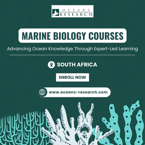 Marine Biology Courses.jpg