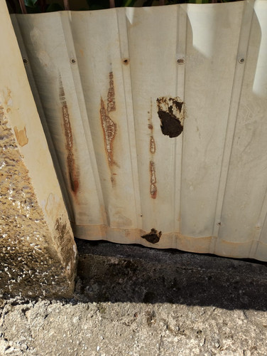 WhatsApp Image 2026 02 08 at 15.22.52