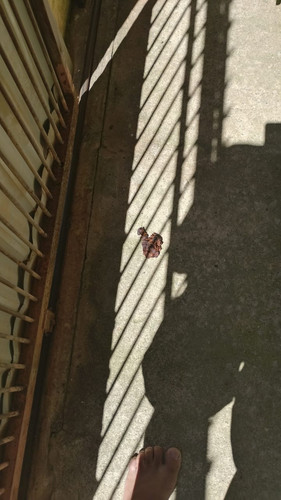 WhatsApp Image 2026 02 08 at 15.22.51 (1)