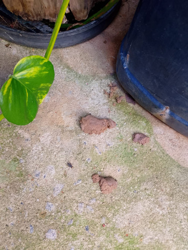 WhatsApp Image 2026 02 08 at 15.22.51