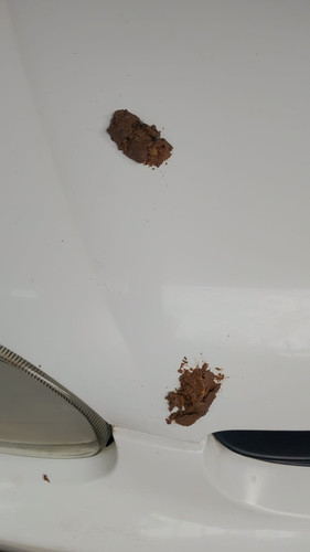 WhatsApp Image 2026 02 08 at 15.22.49