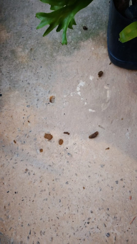 WhatsApp Image 2026 02 08 at 15.22.50