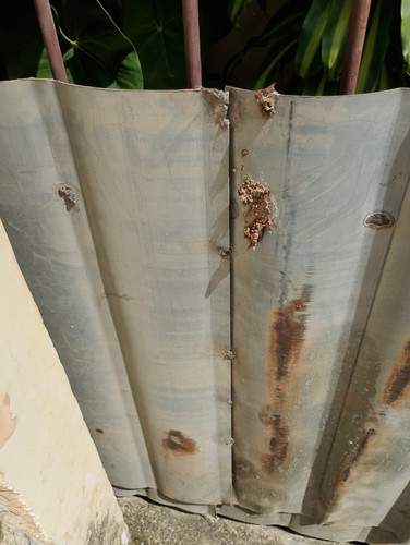 WhatsApp Image 2026 02 08 at 15.22.57