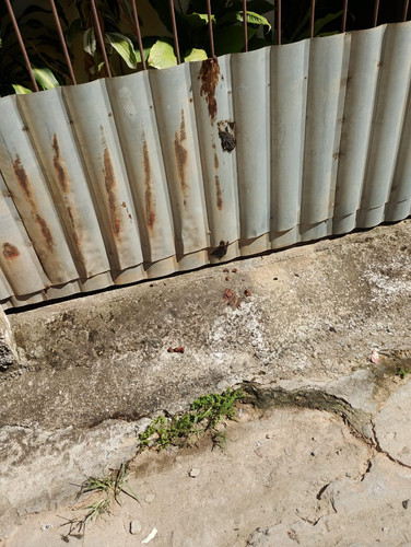 WhatsApp Image 2026 02 08 at 15.22.55