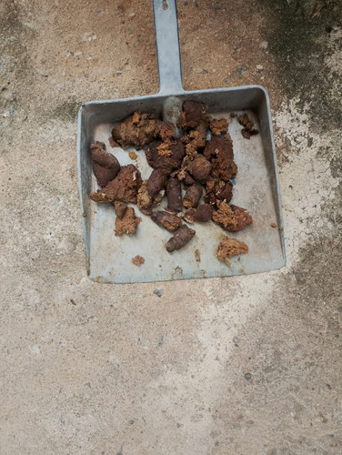 WhatsApp Image 2026 02 08 at 15.22.54