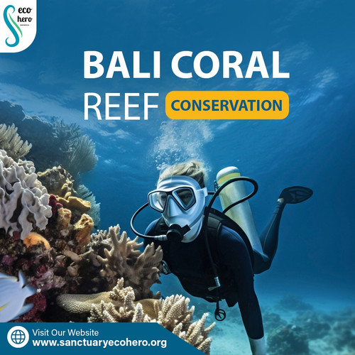 Bali Coral Reef Conservation.jpg