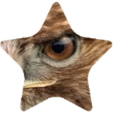 peak.png