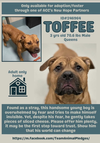 HA Aq5rbwAAXQ3C?format=jpg.jpg