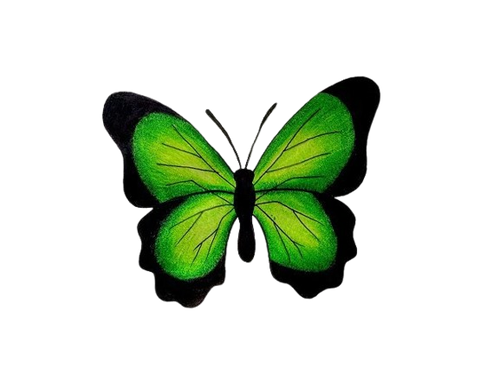 butterfly.png