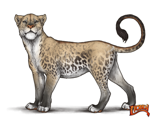 lioden wardrobe (32).png