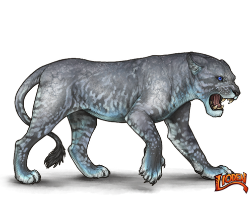 lioden wardrobe (30).png