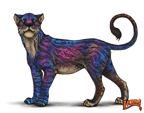 lioden wardrobe (21).png