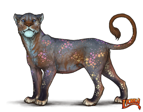 lioden wardrobe (22).png