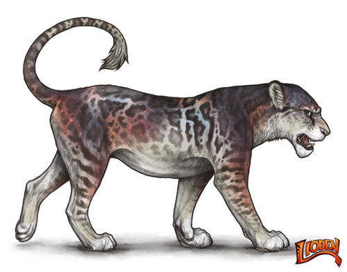 lioden wardrobe (17).png