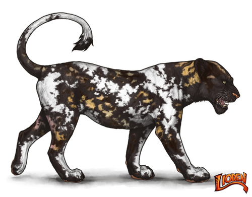 lioden wardrobe (18).png