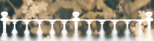 blurflowersborder.png