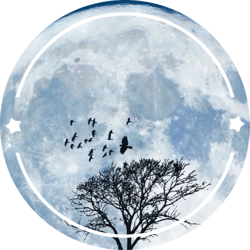 moon pfp.png