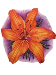 flower.png
