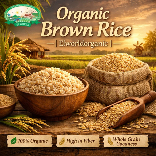 Organic brown rice | elworldorganic.jpg