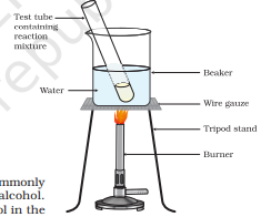 Screenshot 2026 02 19 131734.png