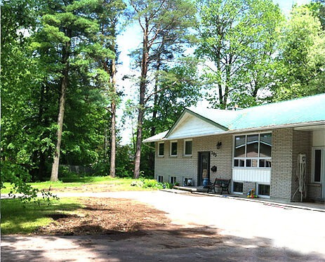 🌳 Find Trusted Tree service near me.jpg