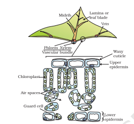 Screenshot 2026 02 19 134024.png