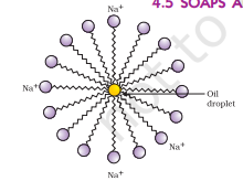 Screenshot 2026 02 19 131900.png