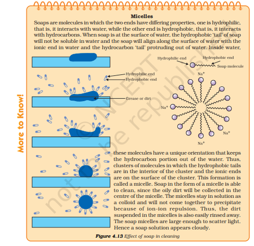 Screenshot 2026 02 19 132011.png