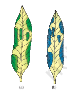 Screenshot 2026 02 19 134254.png