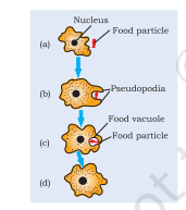 Screenshot 2026 02 19 134551.png