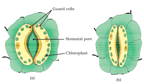 Screenshot 2026 02 19 134354.png